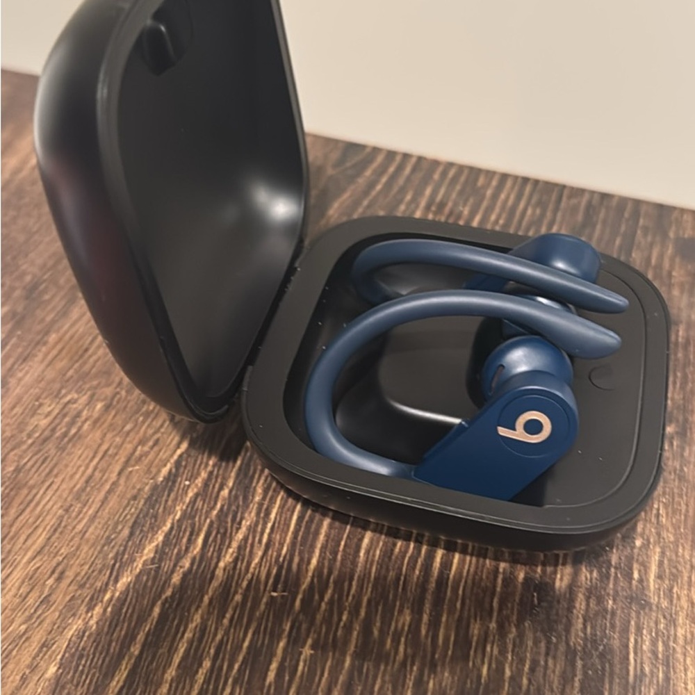 Bose Blue Powerbeats Pro